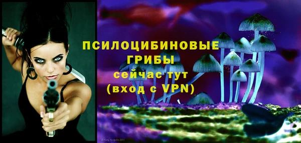 прущий лед Алексин