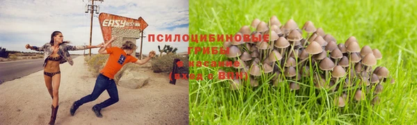 МДПВ Абдулино