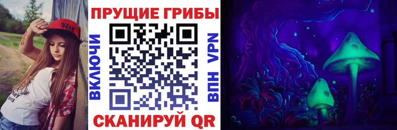 Псилоцибиновые грибы Magic Shrooms  Новосибирск 