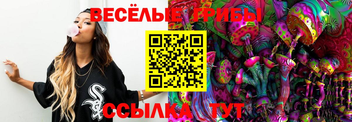 Псилоцибиновые грибы прущие грибы  Вход с VPN  Новосибирск 